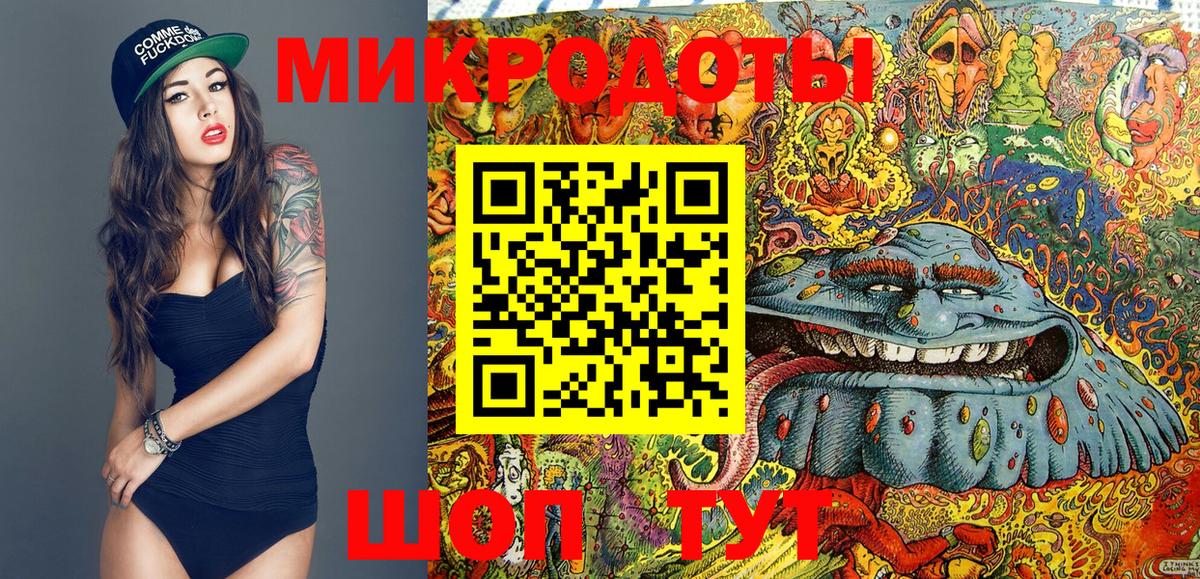 купить наркоту  Псилоцибиновые грибы мухоморы  Сунжа  Вход с VPN  Псилоцибиновые грибы прущие грибы 