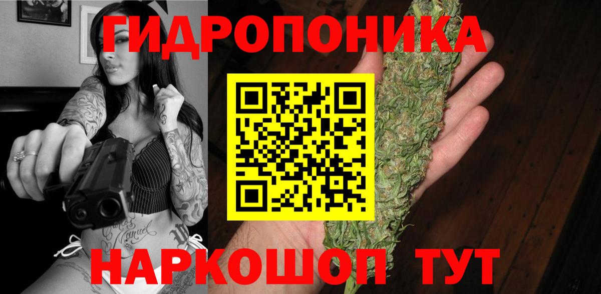 Конопля OG Kush Сунжа